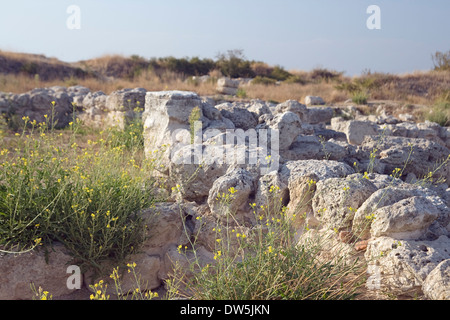 Chersonesos Taurica rovine, museo all'aperto a Sebastopoli, Ucraina Foto Stock