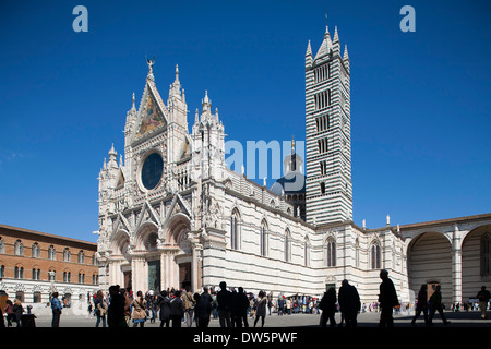 Cattedrale, Siena, Toscana, Italia, Europa Foto Stock