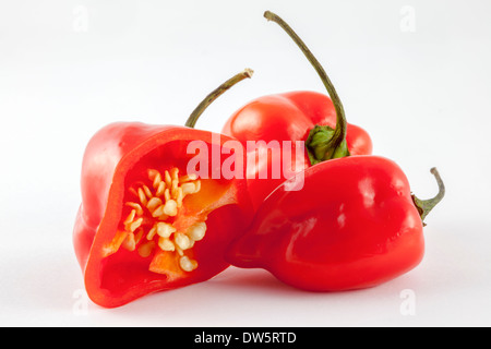 Tre rossi,molto caldo Habanero chili peppers dal C. Chinense cultivar della famiglia Capsicum - chiamato dopo l'Avana a Cuba? Foto Stock