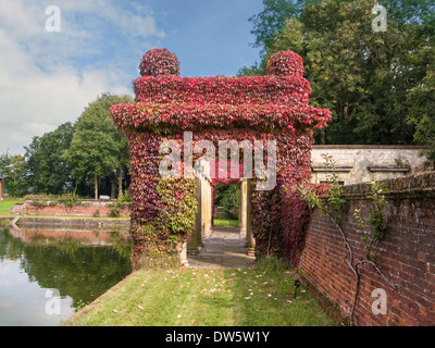 Virginia superriduttore in piena copertura colore antiche colonne ed archi presso Didlington Manor Norfolk Inghilterra Foto Stock