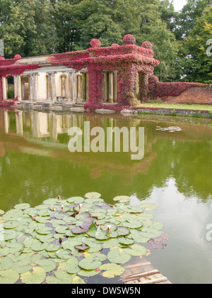 Virginia superriduttore in piena copertura colore antiche colonne ed archi presso Didlington Manor Norfolk Inghilterra Foto Stock