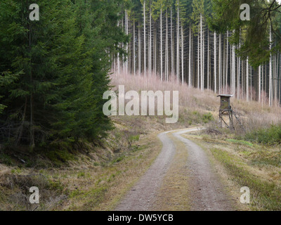 Paesaggio con scaletta casella stile di supporto albero per la caccia Foto Stock