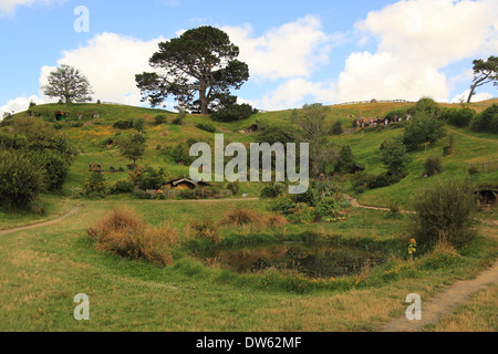 Hobbit e Il signore degli anelli del set cinematografico, Hobbiton, Broadway, Matamata, Nr Cambridge, regione di Waikato, Isola del nord, Nuova Zelanda Foto Stock