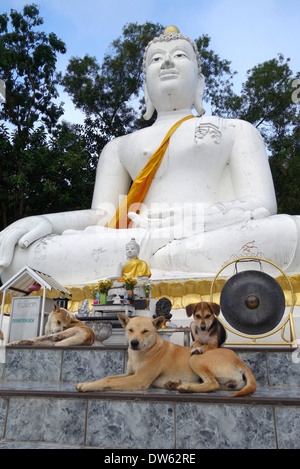 'Tempio cani' alla base del Buddha bianco per motivi di Wat Thaton monastero a Tha Ton, Thailandia. Foto Stock