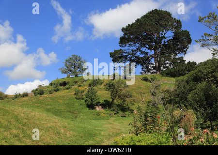 Hobbit e Il signore degli anelli del set cinematografico, Hobbiton, Broadway, Matamata, Nr Cambridge, regione di Waikato, Isola del nord, Nuova Zelanda Foto Stock