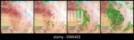 Irrigazione in Saudi Arabian desert come visto dallo spazio Foto Stock