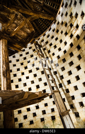 Interno della Colombaia a Dunster West Somerset con fori di nido e la scaletta per la raccolta delle uova di piccione cuscini e uccelli adulti Foto Stock