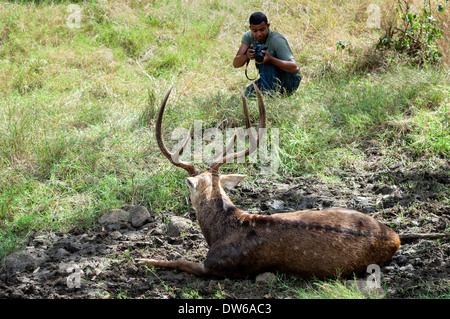 Fotografia della fauna selvatica Foto Stock