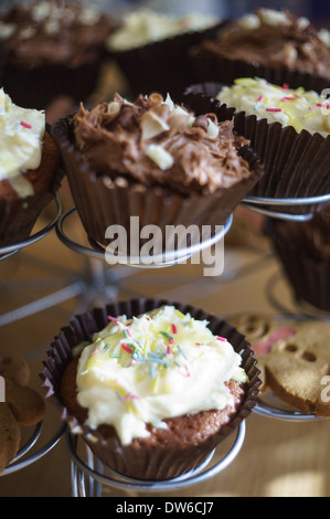 Cioccolato e tortini al limone Foto Stock