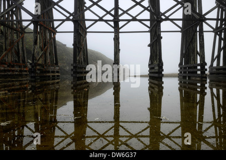 Il pudding Creek traliccio nebbia Fort Bragg dieci miglia di spiaggia MacKerricher Trail del parco statale Mendocino California Oceano Pacifico escursionismo Foto Stock