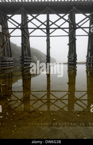 Il pudding Creek traliccio nebbia Fort Bragg dieci miglia di spiaggia MacKerricher Trail del parco statale Mendocino California Oceano Pacifico escursionismo Foto Stock