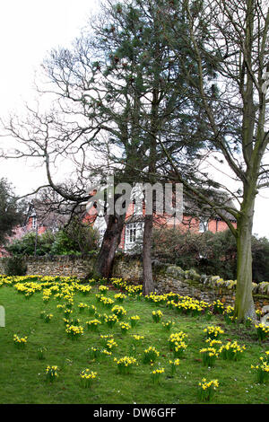 Bedford, Regno Unito. 1 Marzo, 2014. Blossom su alberi lungo il terrapieno come arriva la primavera a Bedford il 1 marzo 2014 Credit: KEITH MAYHEW/Alamy Live News Foto Stock