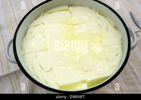 Freschi Fatti in casa il formaggio bianco in un contenitore con acqua salina Foto Stock