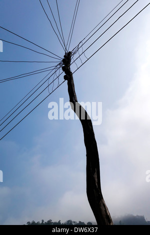 Tronco di albero pole supporing filo di elettricità prodotta a partire da una piccola centrale idroelettrica nella regione di Gorkha del Nepal. Foto Stock