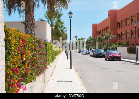 Recinzione di fiori multicolori Foto Stock