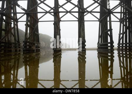 Il pudding Creek traliccio nebbia Fort Bragg dieci miglia di spiaggia MacKerricher Trail del parco statale Mendocino California Oceano Pacifico escursionismo Foto Stock