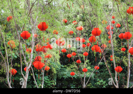 Anno Nuovo Cinese lanterne rosse Decorazione e nappe con la prosperità del testo su una placca appesi sugli alberi Foto Stock