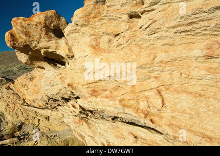 Cliff a Bosque Petrificado José Ormaechea vicino Sarmiento Patagonia Argentina America del Sud Foto Stock