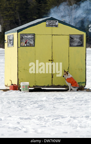 Cane fuori la pesca sul ghiaccio shack su Eagle Lake, il Parco Nazionale di Acadia, Maine Foto Stock
