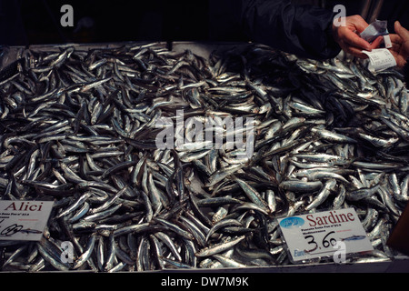 Sardine in vendita presso il Ponte di Rialto Mercato del pesce, Campo della Pescheria, Venezia, Italia Foto Stock