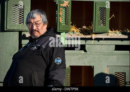 Willow, Alaska, Stati Uniti d'America. 2 Mar 2014. Marc Lester / Anchorage Daily News .Iditarod veterano Mike Williams attende racing per iniziare. Racing ha iniziato per il 2014 Sentiero Iditarod Sled Dog Race sul Lago di salice domenica pomeriggio, 2 marzo 2014. Sessanta nove squadre iniziato questo anno di Iditarod. Credito: Marc Lester/Anchorage Daily News/ZUMAPRESS.com/Alamy Live News Foto Stock