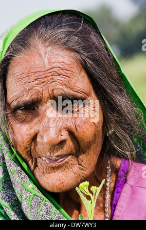 1 donna indiana che lavora in azienda Foto Stock