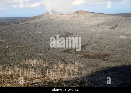 Vista aerea della PUU Oo bocca attiva del vulcano Kilauea Caldera vulcanica, Parco Nazionale dei Vulcani delle Hawaii, Big Island, Hawaii, STATI UNITI D'AMERICA Foto Stock