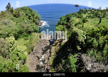 Gulch nella costa Hamakua, Big Island, Hawaii, STATI UNITI D'AMERICA Foto Stock