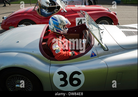 Pre 1966 giaguari nell'area di montaggio prima di prendere il via a Castle Combe, Wiltshire, Inghilterra, Regno Unito. Foto Stock