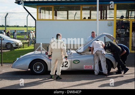 Pre 1966 giaguari nell'area di montaggio prima di prendere il via a Castle Combe, Wiltshire, Inghilterra, Regno Unito. Foto Stock