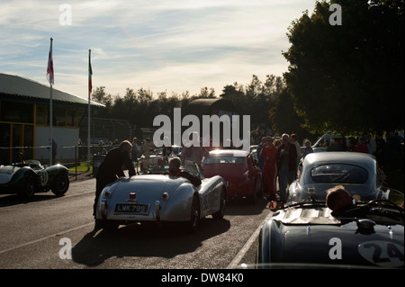 Negli anni cinquanta vetture sport nell'area di montaggio prima di prendere il via a Castle Combe, Wiltshire, Inghilterra, Regno Unito. Foto Stock