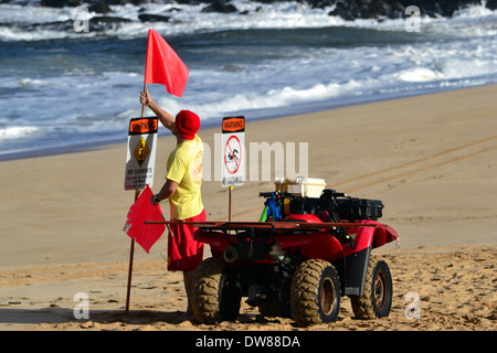 Bagnino posting bandiere rosse di avvertimento di alte condizioni di surf a Waimea Bay North Shore di Oahu, Hawaii, STATI UNITI D'AMERICA Foto Stock