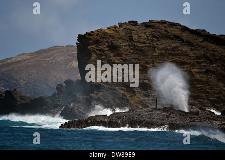 Vista del colpo Halona foro dalla spiaggia sabbiosa, Est Oahu, Hawaii, STATI UNITI D'AMERICA Foto Stock