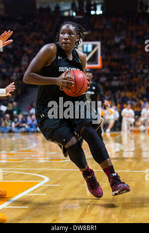 Knoxville, TN, Stati Uniti d'America. 2 Mar 2014. Marzo 2, 2014:Aleighsa Welch #24 del South Carolina Gamecocks rigidi per il cestello durante il NCAA pallacanestro tra la University of Tennessee Lady Vols e il South Carolina Gamecocks a Thompson-Boling Arena di Knoxville, TN © csm/Alamy Live News Foto Stock