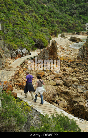 Knysna, Western Cape, Sud Africa, giovane escursionismo sul lungomare lungo la panoramica spiaggia rocciosa, Piuma Riserva Naturale, persone, uomo, donna, paesaggio Foto Stock