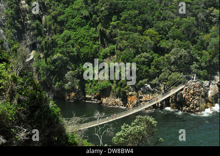 Tsitsikama national park, Capo orientale, Sud Africa, persone camminando sul ponte di sospensione a tempeste foce Foto Stock