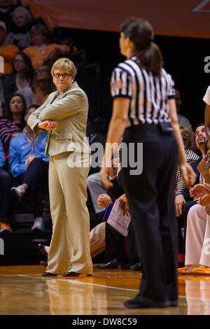 Knoxville, TN, Stati Uniti d'America. 2 Mar 2014. Marzo 2, 2014:head coach Holly Warlick del Tennessee Lady volontari durante il NCAA pallacanestro tra la University of Tennessee Lady Vols e il South Carolina Gamecocks a Thompson-Boling Arena di Knoxville, TN © csm/Alamy Live News Foto Stock