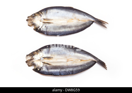 Non tinti con salmone affumicato isolato su un bianco di sfondo per studio. Foto Stock