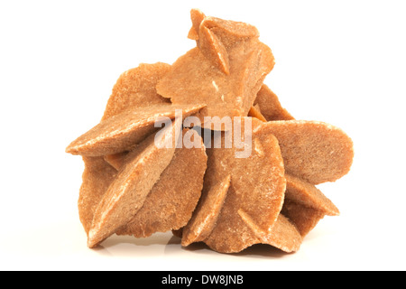 Rosa del Deserto isolato su sfondo bianco Foto Stock