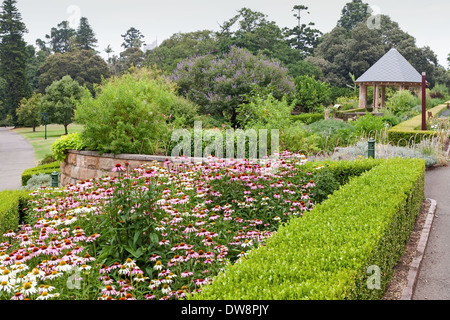 Royal Botanical Gardens Sydney Australia Foto Stock