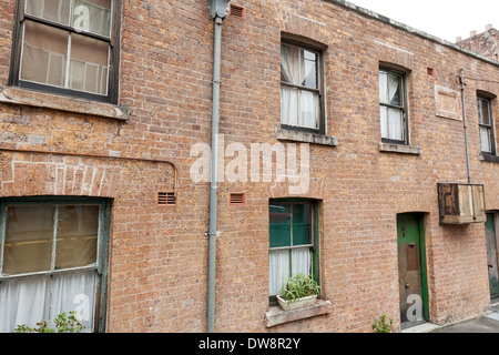 Storico, Susannah Place Museum, 58-64 Gloucester Street, Sydney Australia Foto Stock