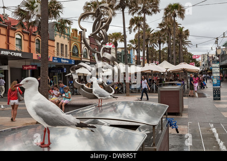 Silver Guls, Chromicocephalus novaehollandiae o Larus novaehollandiae & edifici storici il corso, Manly, Australia Foto Stock