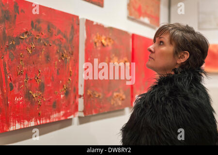 Huntington, New York, Stati Uniti - 1 Marzo 2014 - un visitatore guarda la mostra 'Red & White dipinti e fotografie - El Vocio esistenziale,' per artista Barry Feuerstein presso il ricevimento di apertura '3 Wild & Crazy artisti' alla Galleria FotoFoto. Foto Stock