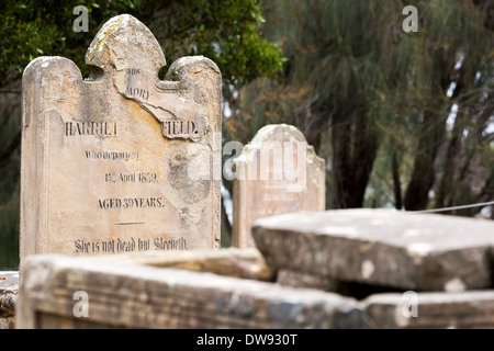 Isola dei morti, cimitero di Convict, Port Arthur, sito storico, Tasmania, Australia Foto Stock