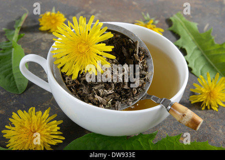 Tè del dente di Leone Foto Stock