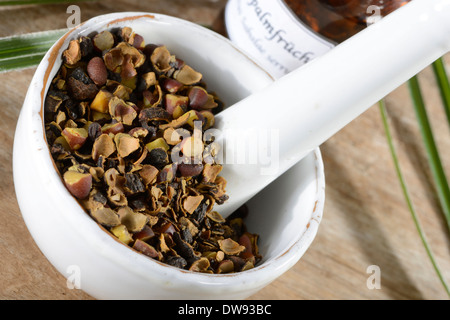 Saw Palmetto Foto Stock