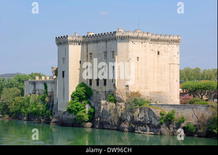 Chateau Royal de Tarascon o Chateau du Roi René sul fiume Rodano, Tarascon, Bouches-du-Rhone, Provence-Alpes-Côte d'Azur Foto Stock