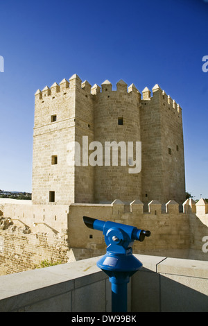 Torre di Calahorra, Cordoba, Spagna Foto Stock
