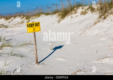 Segno avverte di tenere fuori della duna area di restauro di una spiaggia a Gulf Shores, Alabama Foto Stock