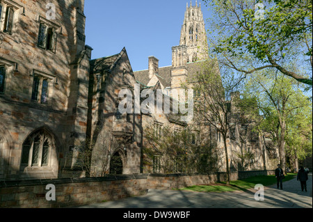 Harkness Tower da un quadrangolo Yale University, New Haven, Connecticut, Stati Uniti d'America. Foto Stock